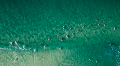 Overhead view of swimmers scattered across clear green water at Bondi